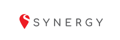 Synergy 2color Logo